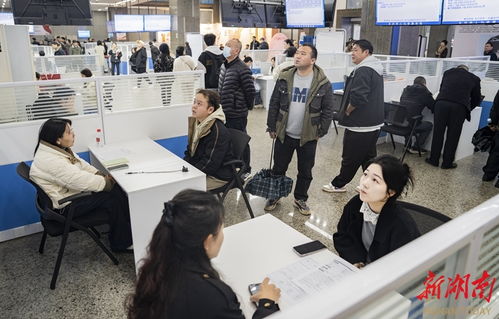 搭臺(tái)送崗 服務(wù)賦能 信息咨詢服務(wù)在就業(yè)生態(tài)中的核心價(jià)值